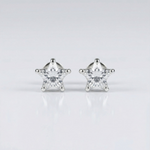 Starbright Studs
