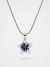 ELEGENT SILVER PANDET